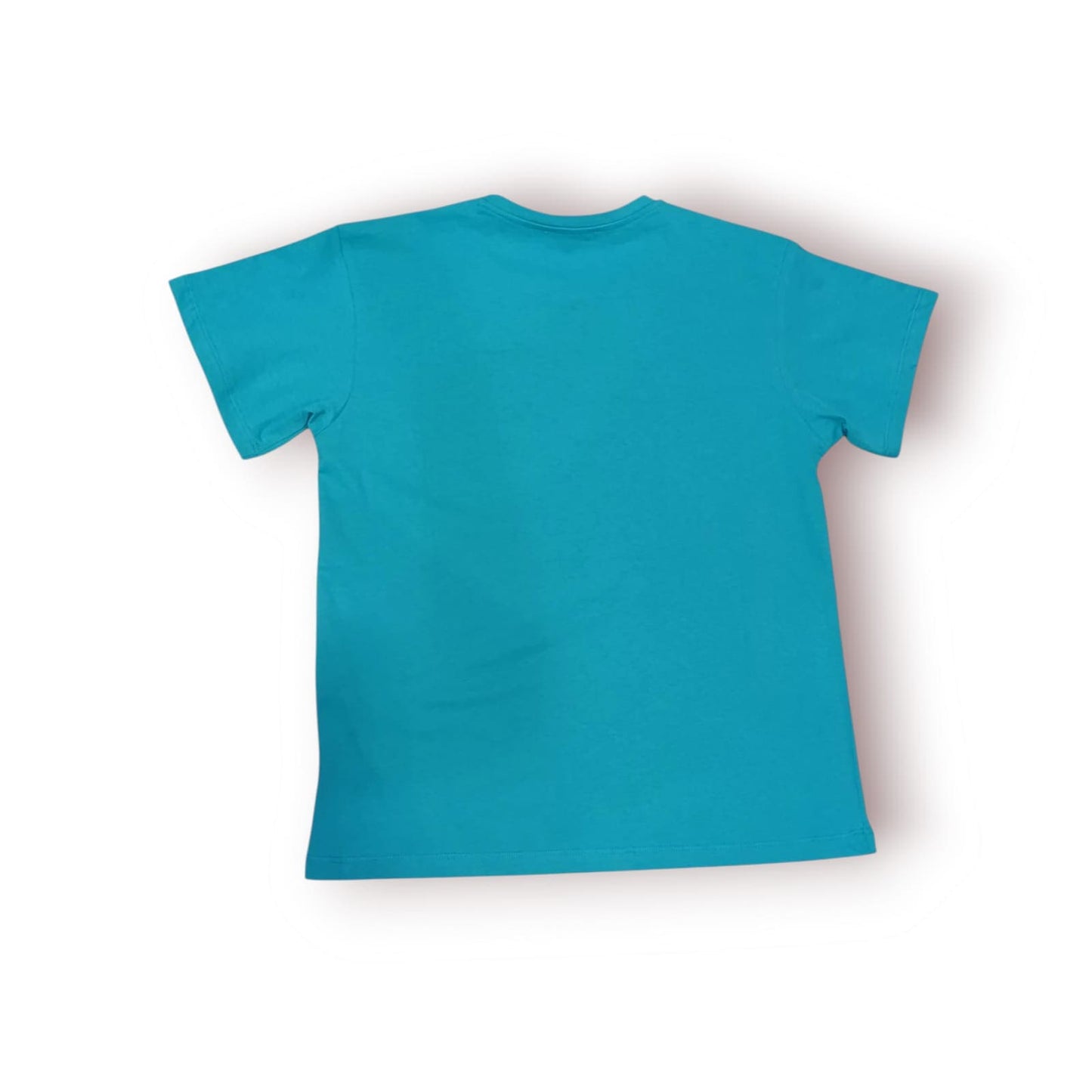 T- SHIRT PINKO COLORE AZZURRO - CON LOGO SPECCHIO