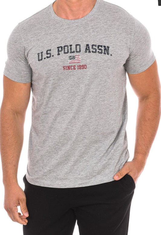 T-shirt US POLO ASSN, grigia.